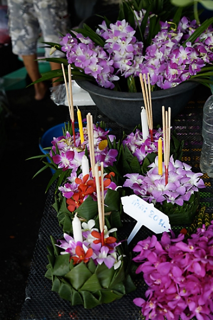 Talin chan-NOV13-002